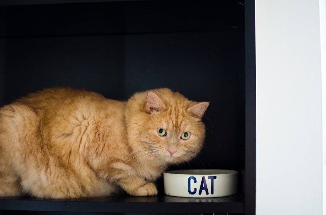 Photo How Much Electricity Does An Electronics Store in the UK Consume Per Month?