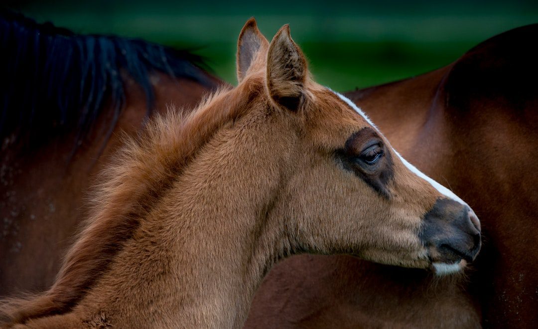 Photo Safeguarding Your Electronics: Surge Protection Tips for UK Businesses