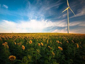 Photo Energy brokers
